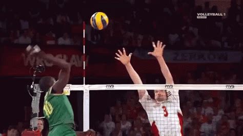 volleyball spike gif|animated volleyball spike.